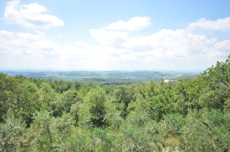 foto10
