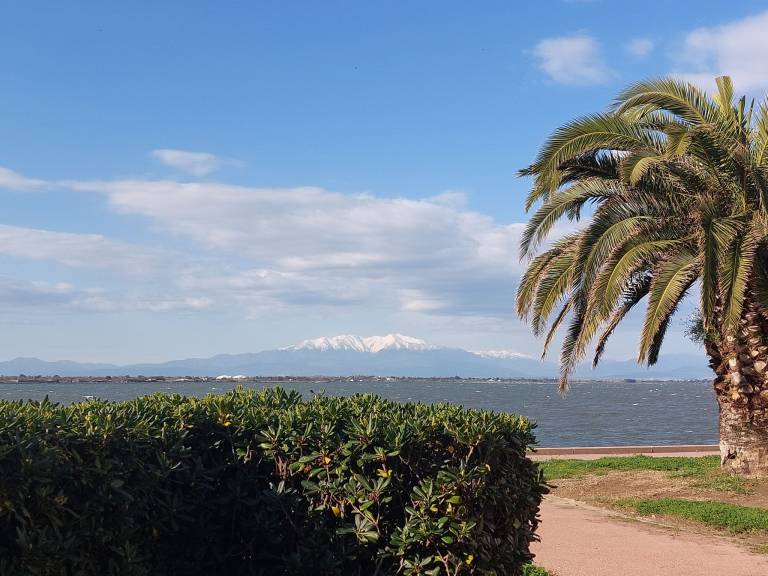 Apartamento Le Barcarès