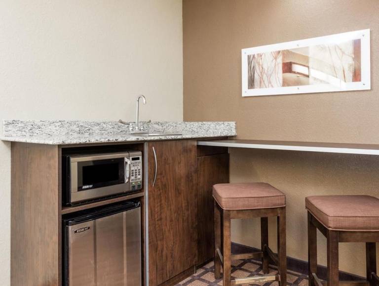Microtel Inn & Suites by Wyndham Macon — photo 3