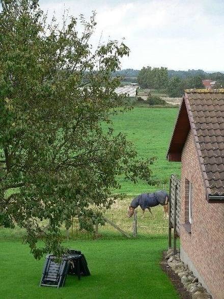 45 m² Ferienwohnung ∙ 2 Schlafzimmer ∙ 4 Gäste – Bild 5