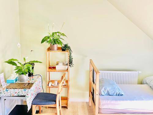 Bed & Breakfast Löwen