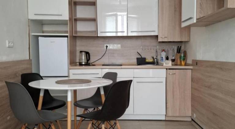 Serviced apartment | Close to Holy Trinity Column — photo 3