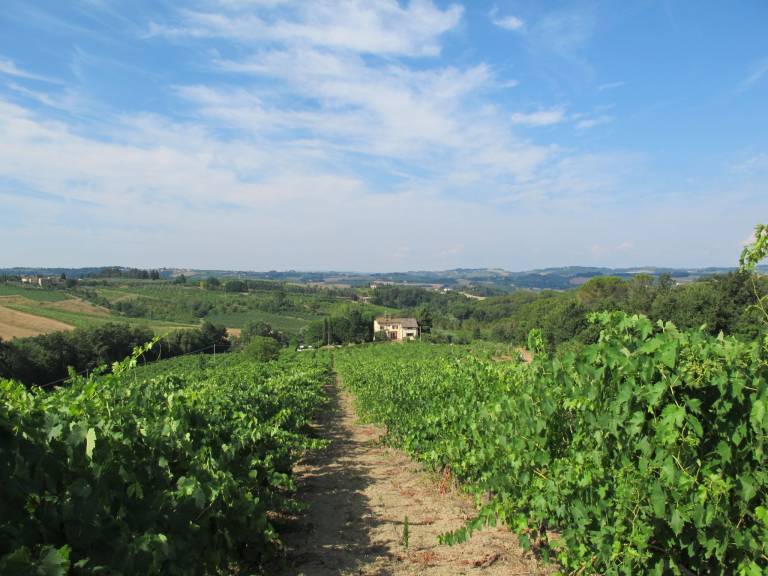 foto36