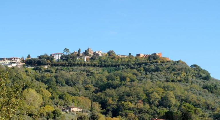 foto41