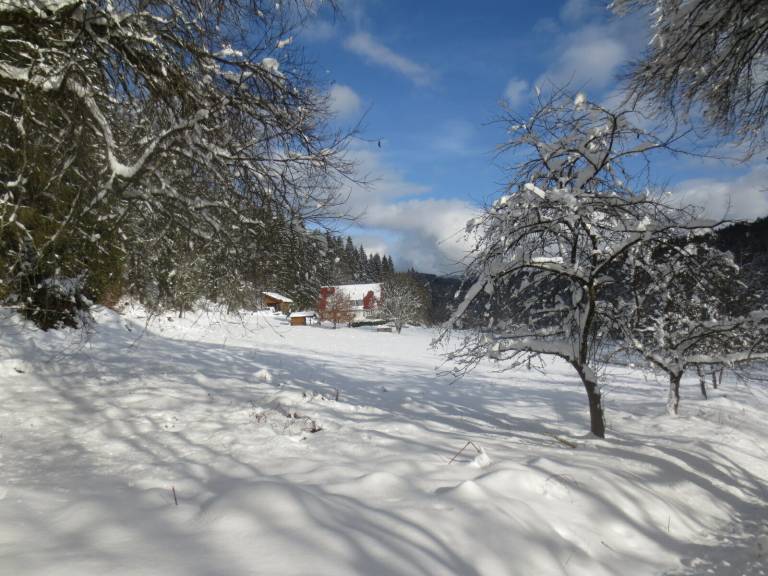 foto17
