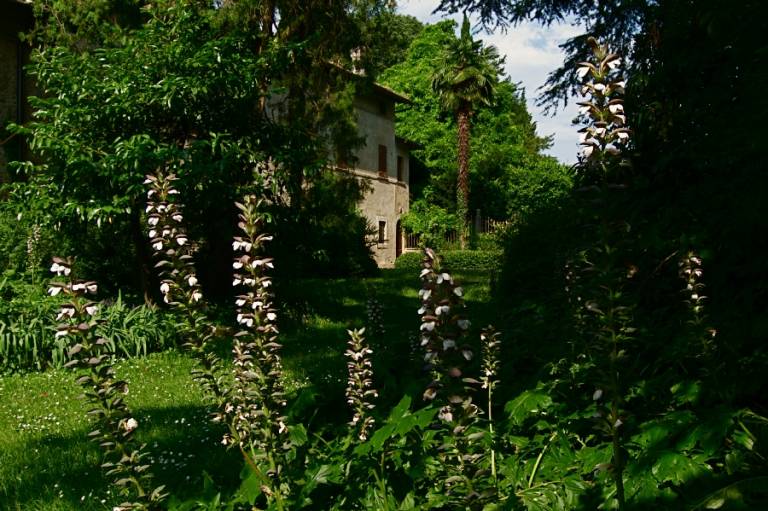 foto10