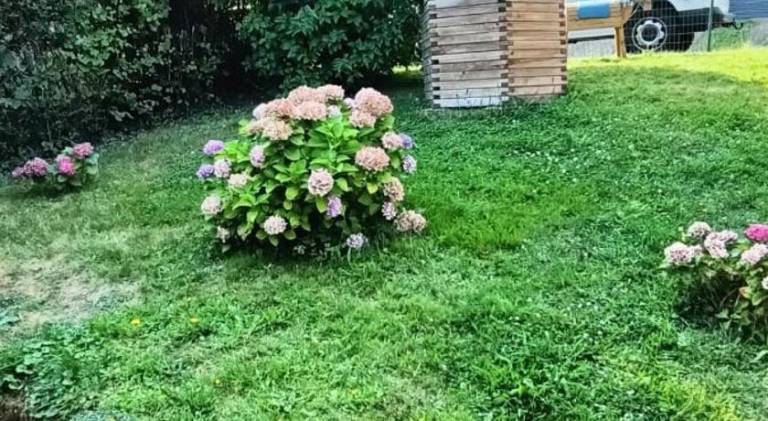 foto32