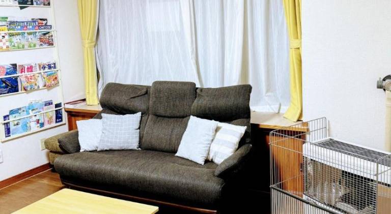 foto11