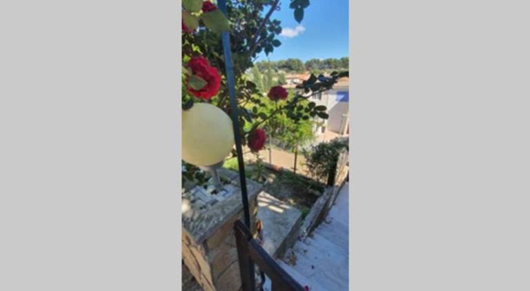 Wonderful holiday apartment with barbeque, patio & yard | Good for workation | Pets are welcome in Marseille