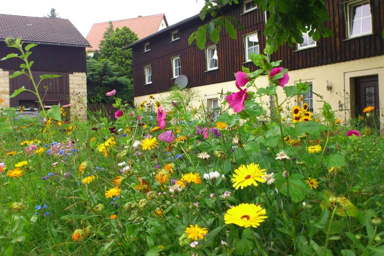 Ferienwohnung Rathen