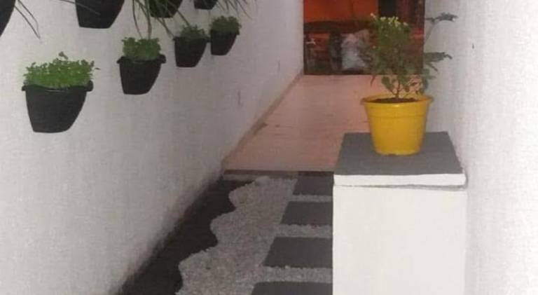 foto6