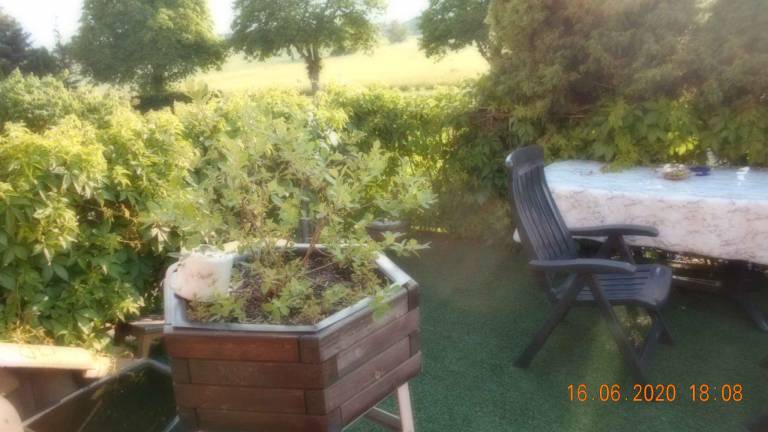 foto3