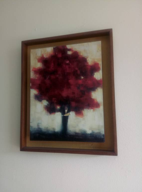foto19