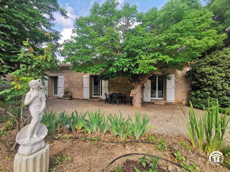 La Maison des vendangeurs — photo 4