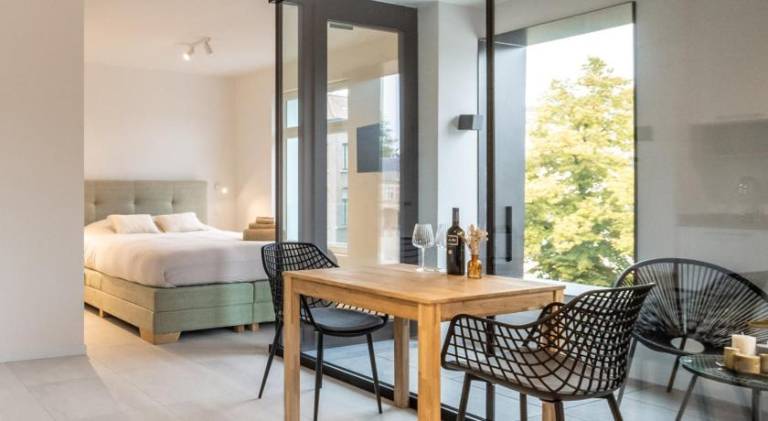 Appartement met hotelvoorzieningen Mechelen