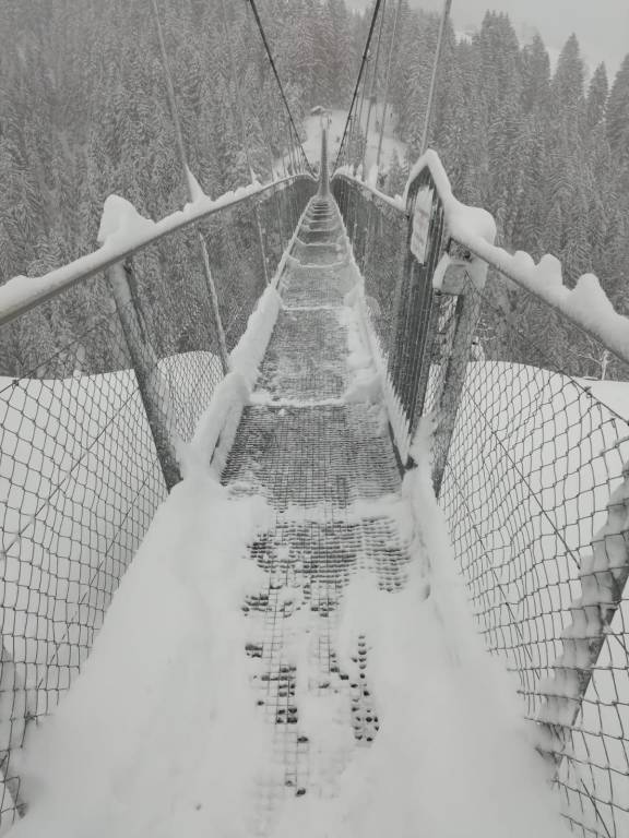 foto11
