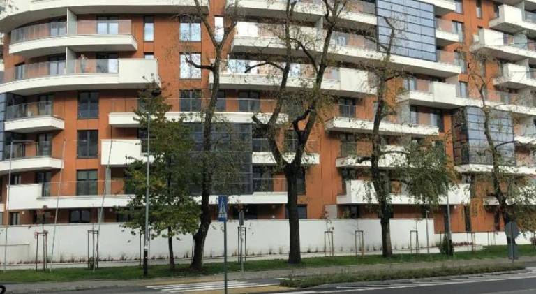 Holiday apartment with yard — photo 4