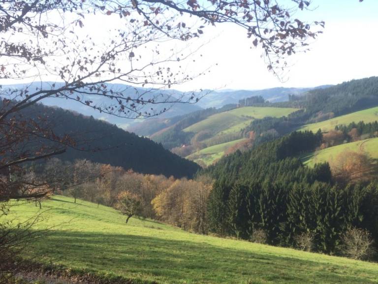 foto19