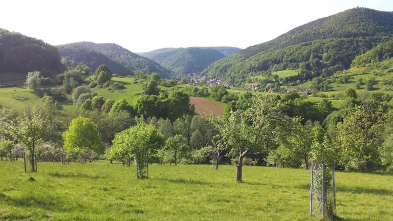 foto4