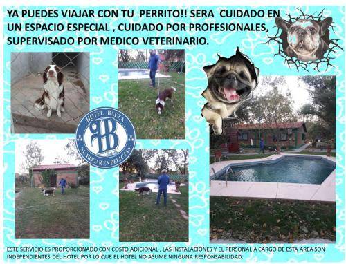 foto9