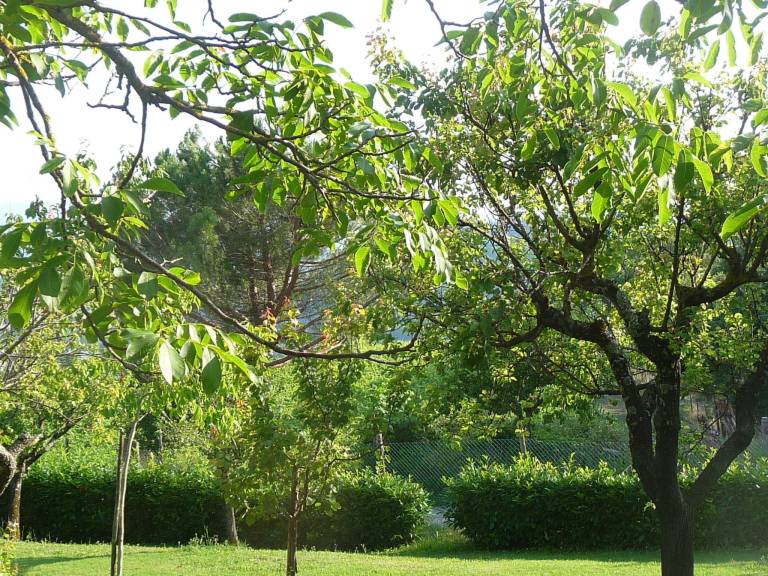 foto32