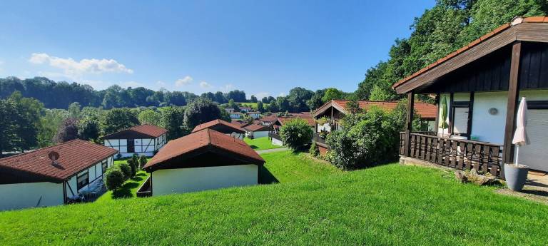 foto31