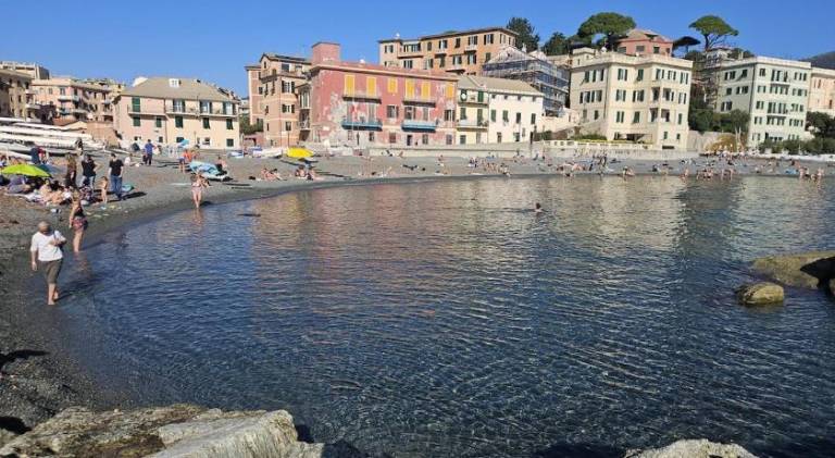 Rental apartment with 2 rooms for 4 persons in San Vincenzo