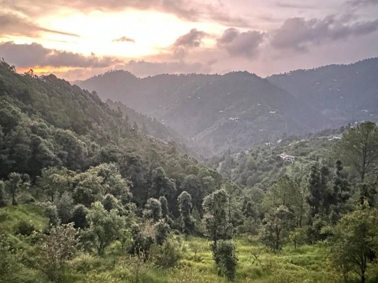 House Dhanachuli