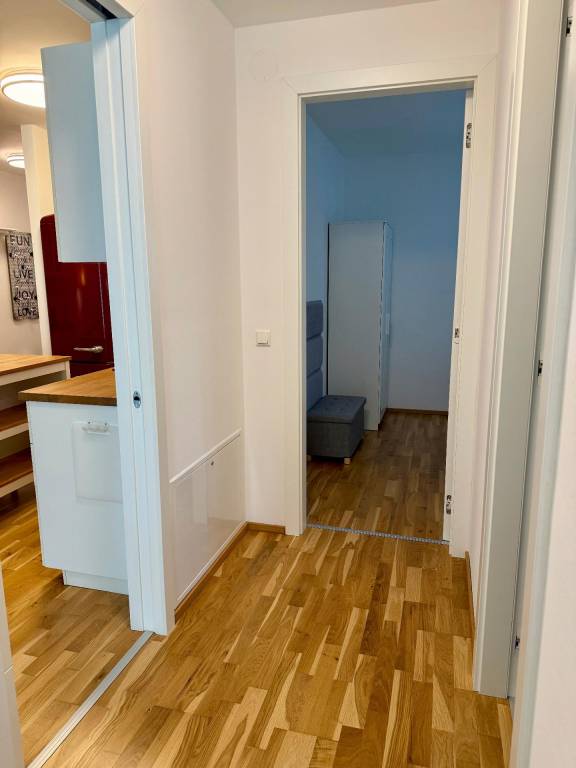 foto19
