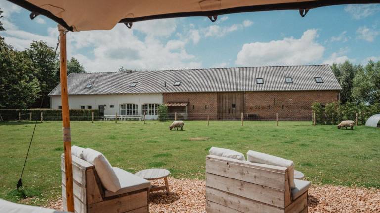 Ferienhaus  Eede