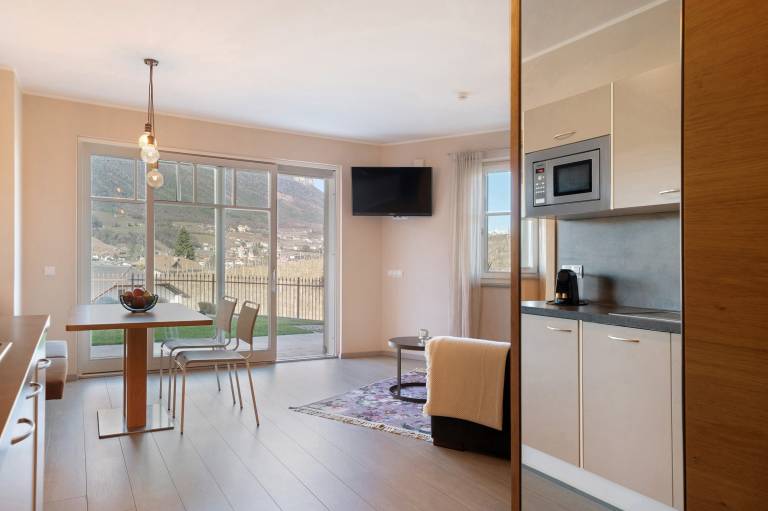 Apartment 'Landhaus Antonius Suite Marius' with Mountain View, garden and Air Conditioning — photo 4