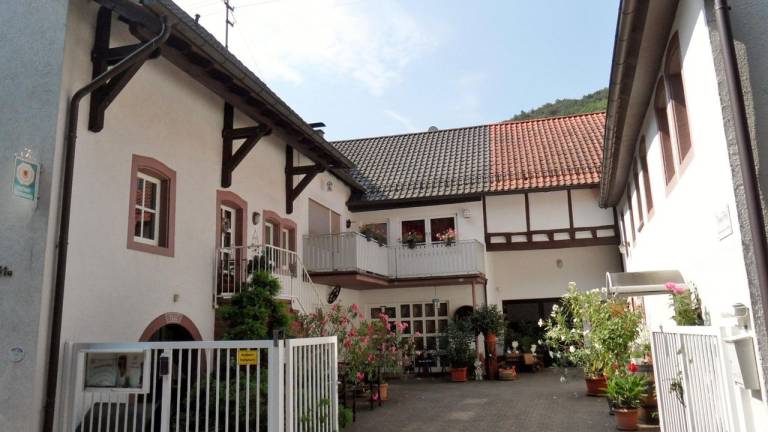 foto2