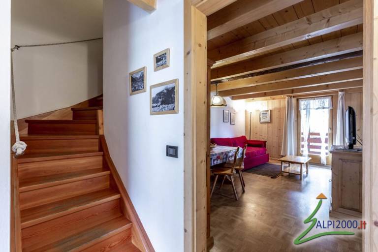 Holiday apartment | Pets allowed — photo 3
