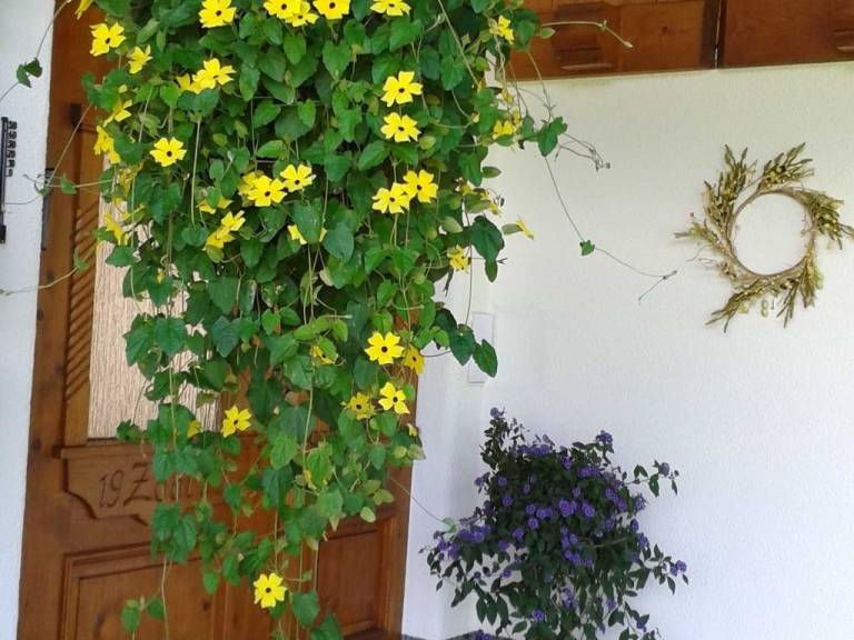 foto21