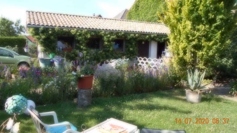 foto9