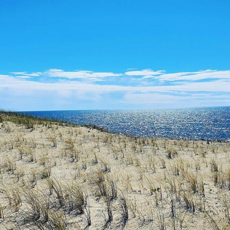 Ferienwohnung in Lit-et-Mixe f&uuml;r max. 2 Personen