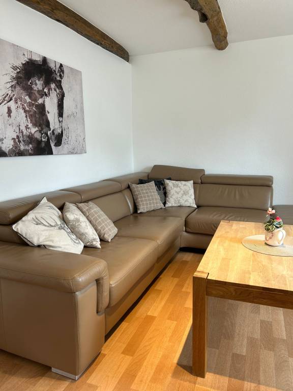 Children-friendly nice holiday apartment with pool, terrace & grill | River view | Pet-friendly — photo 4