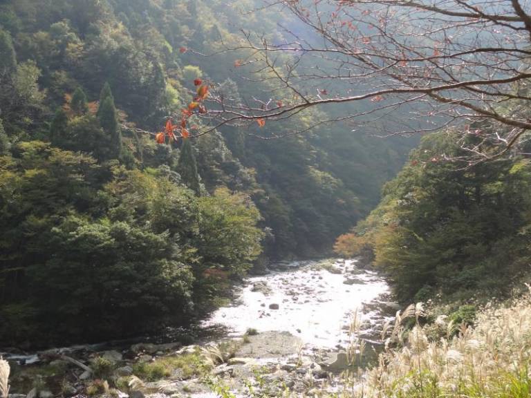 foto5