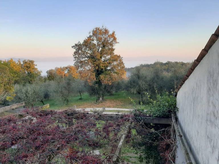 foto19