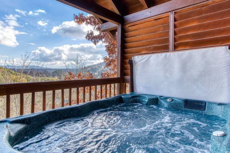 Cabin with private pool — photo 3