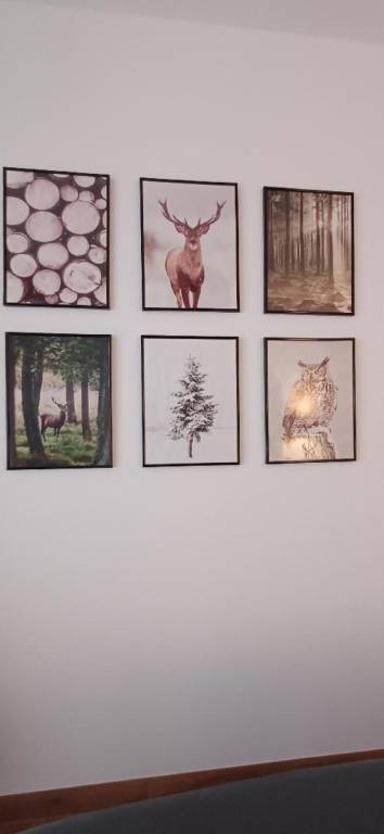 foto2