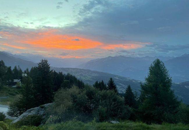 foto21