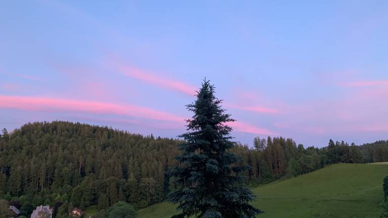 foto18