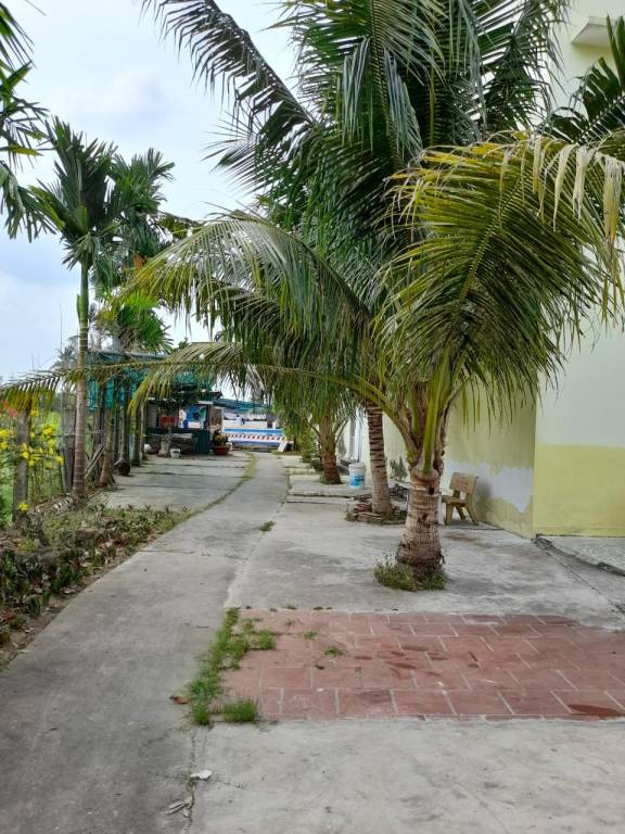 Mai Lan Mini Hotel — photo 4