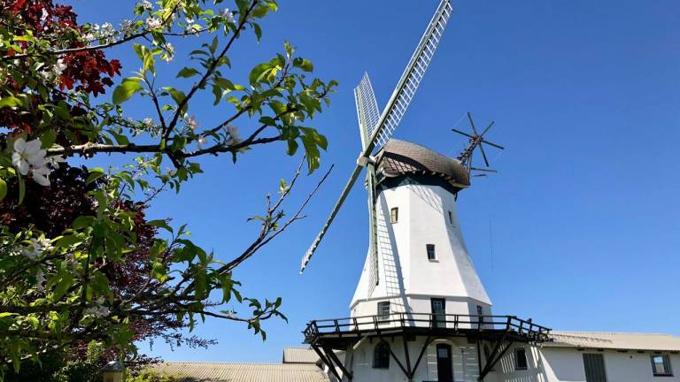 Ferienwohnung  Westerholz