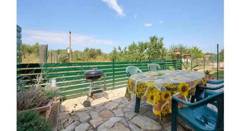 Holiday apartment | Pets are welcome — photo 4