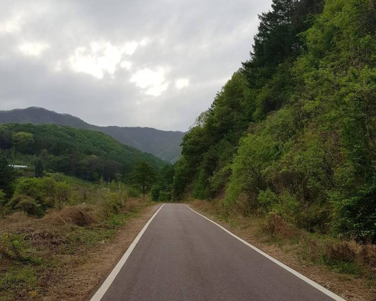 foto40