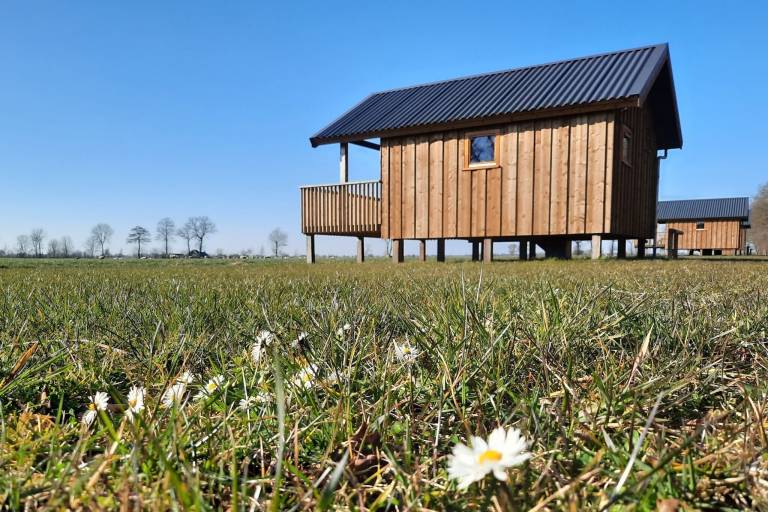 Huis  Havelte