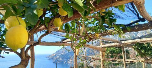 Bed & Breakfast  Amalfi Coast