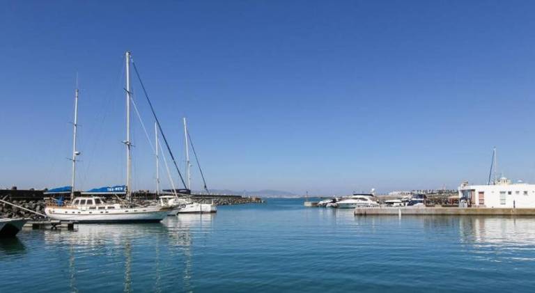 Charming rental apartment | Dogs allowed in Cape Town